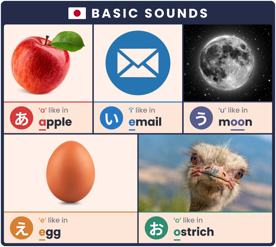 Basic Sounds chart of the five Japanese vowels